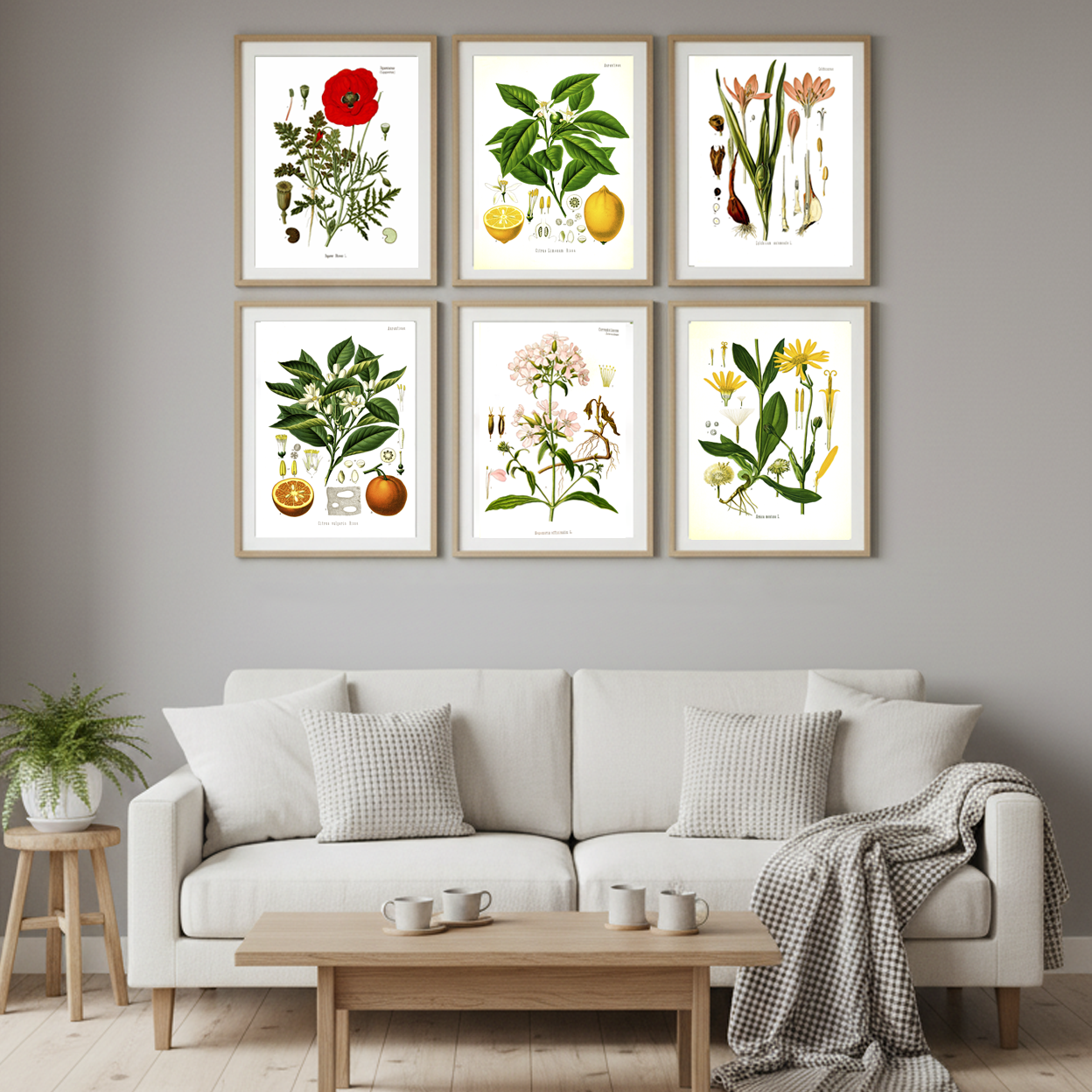 Botanical Prints Set of 6 – Vintage Wall Art – Digital Download