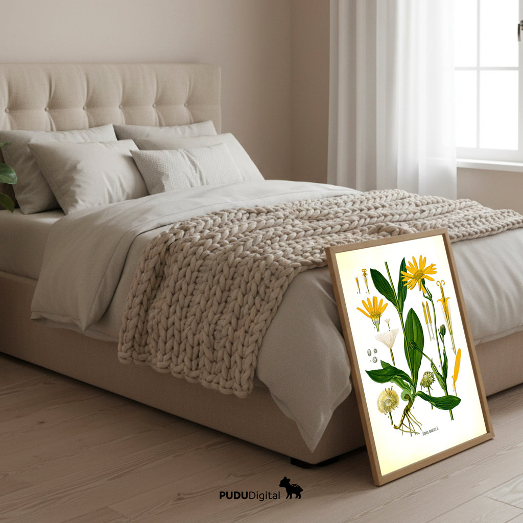 Botanical Prints Set of 6 – Vintage Wall Art – Digital Download