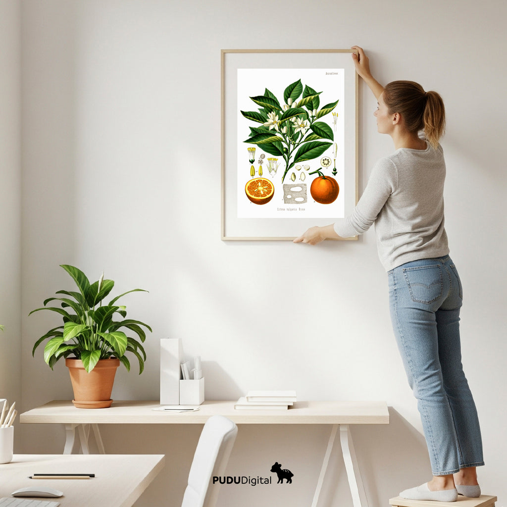 Botanical Prints Set of 6 – Vintage Wall Art – Digital Download