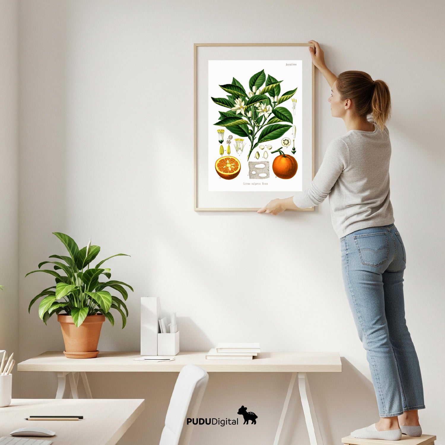 Botanical Prints Set of 6 – Vintage Wall Art – Digital Download