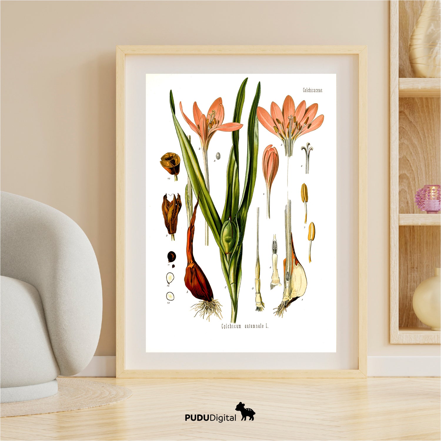 Botanical Prints Set of 6 – Vintage Wall Art – Digital Download